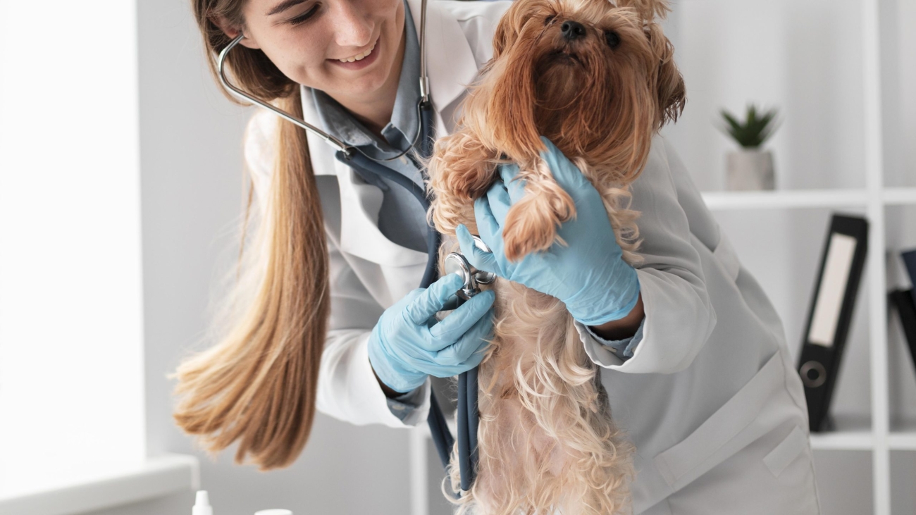 veterinarian-check-ing-puppy-s-health