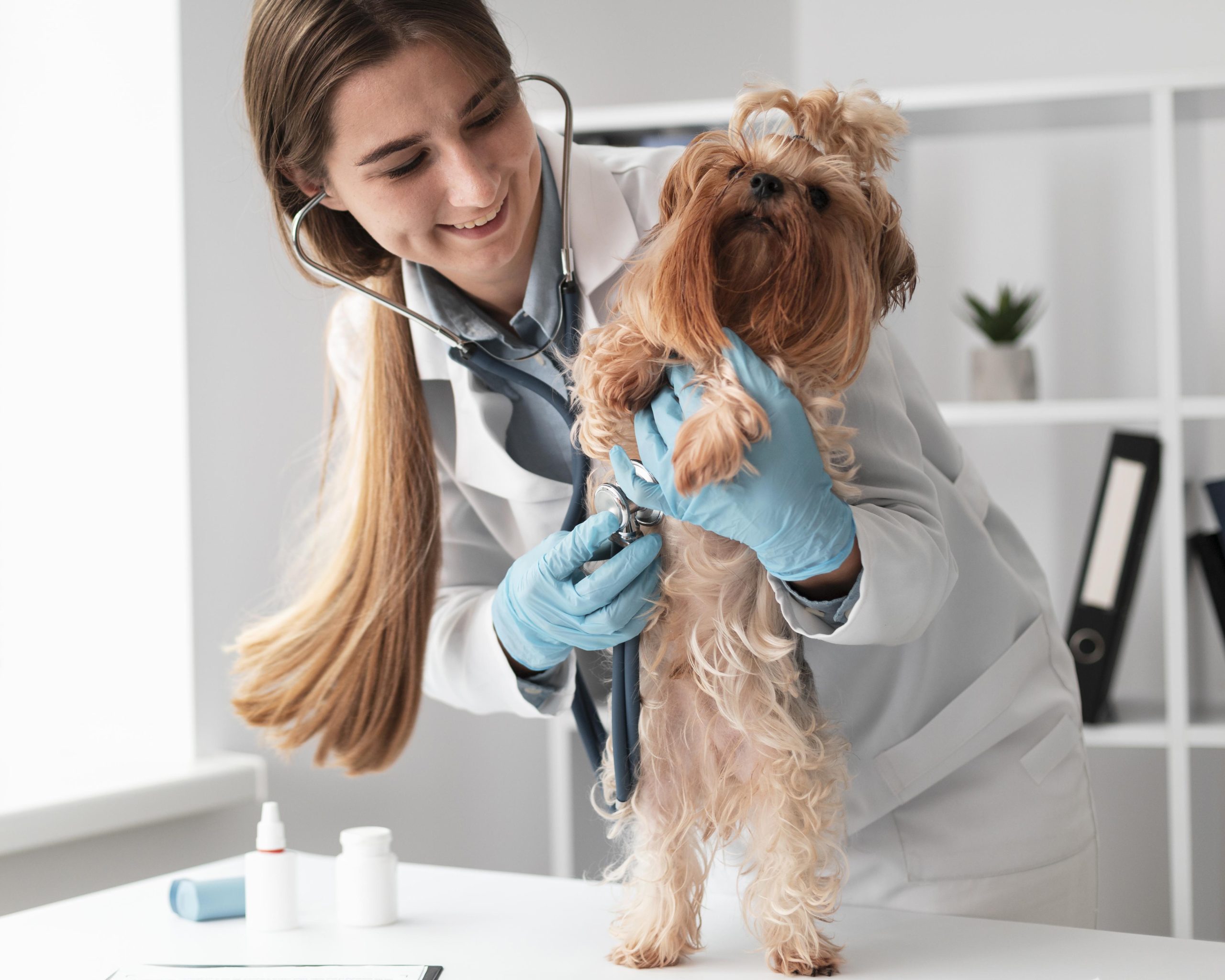 veterinarian-check-ing-puppy-s-health