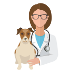 dra._Mesa de trabajo 1