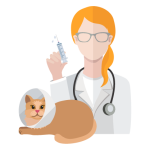 dracat_Mesa de trabajo 1